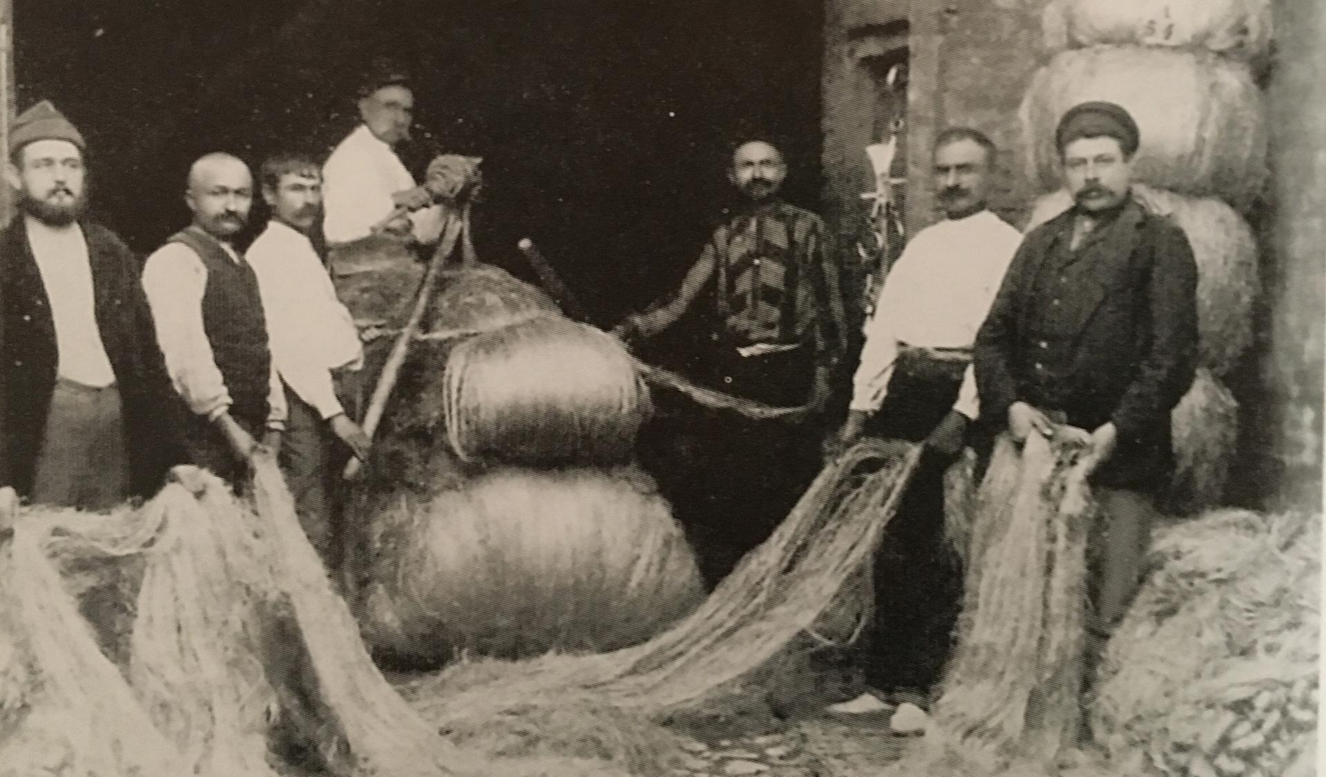 Lavorazione della Canapa