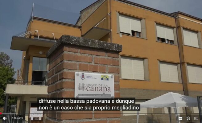 Servizio del TG Nordest di 7Gold Telepadova sul Museo della Canapa